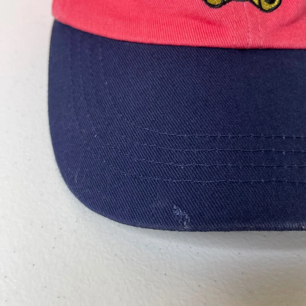 Teddy Fresh Hat Pink Blue Colorblock Baseball‎ Cap Embroidered Bear Adjustable
